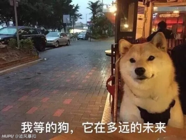 想撩一下女神 求jrs赞助表情包