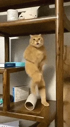 黄品汇在线观看app正版app