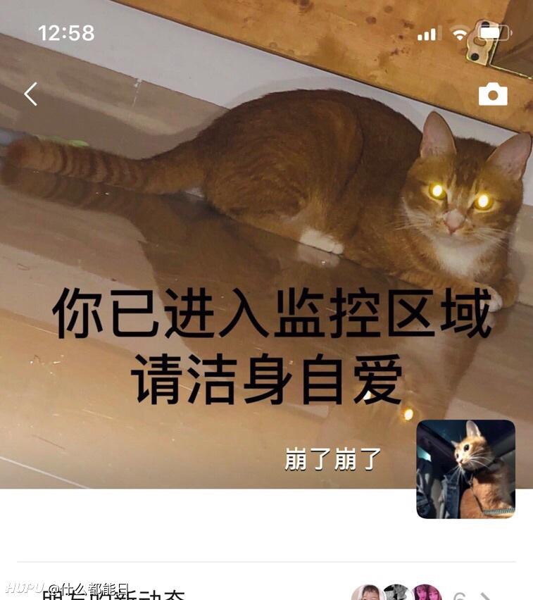 我这波朋友圈背景沙雕程度有多高