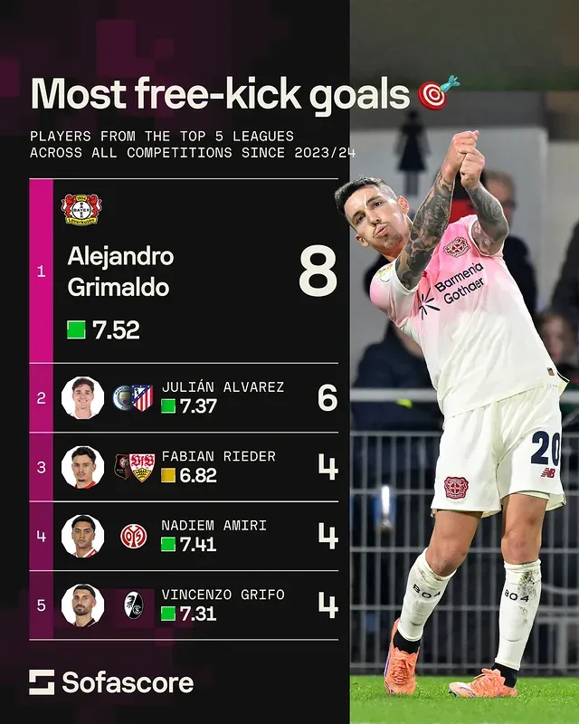 cilicili站官网入口官方网站