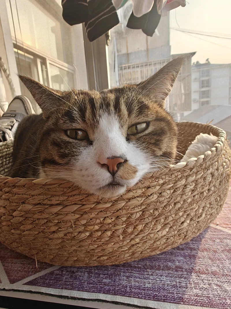 開云|kaiyun開yun體育官網(wǎng)講解