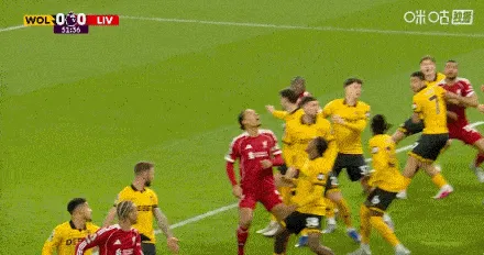 開云|kaiyun開yun體育官網截圖5