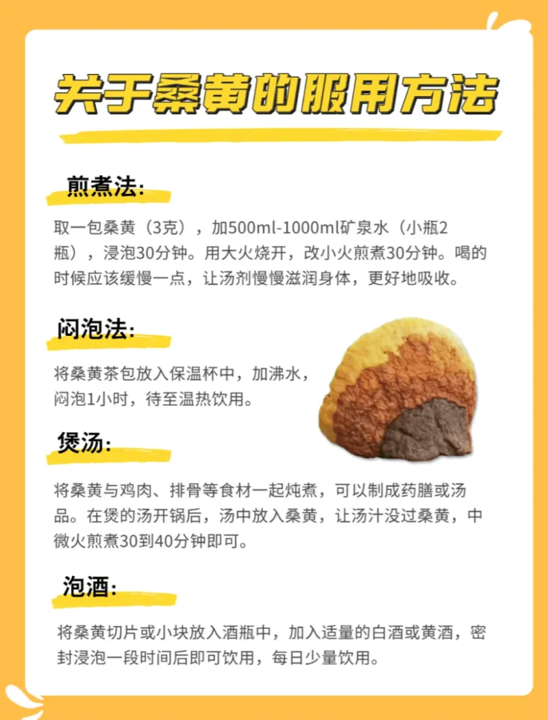 桑黄的服用方法,桑黄的吃法攻略