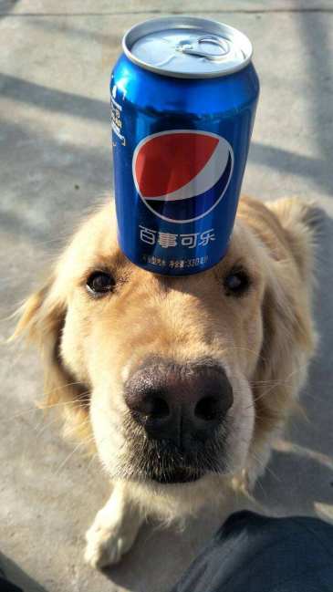 百事可乐壁纸求原图