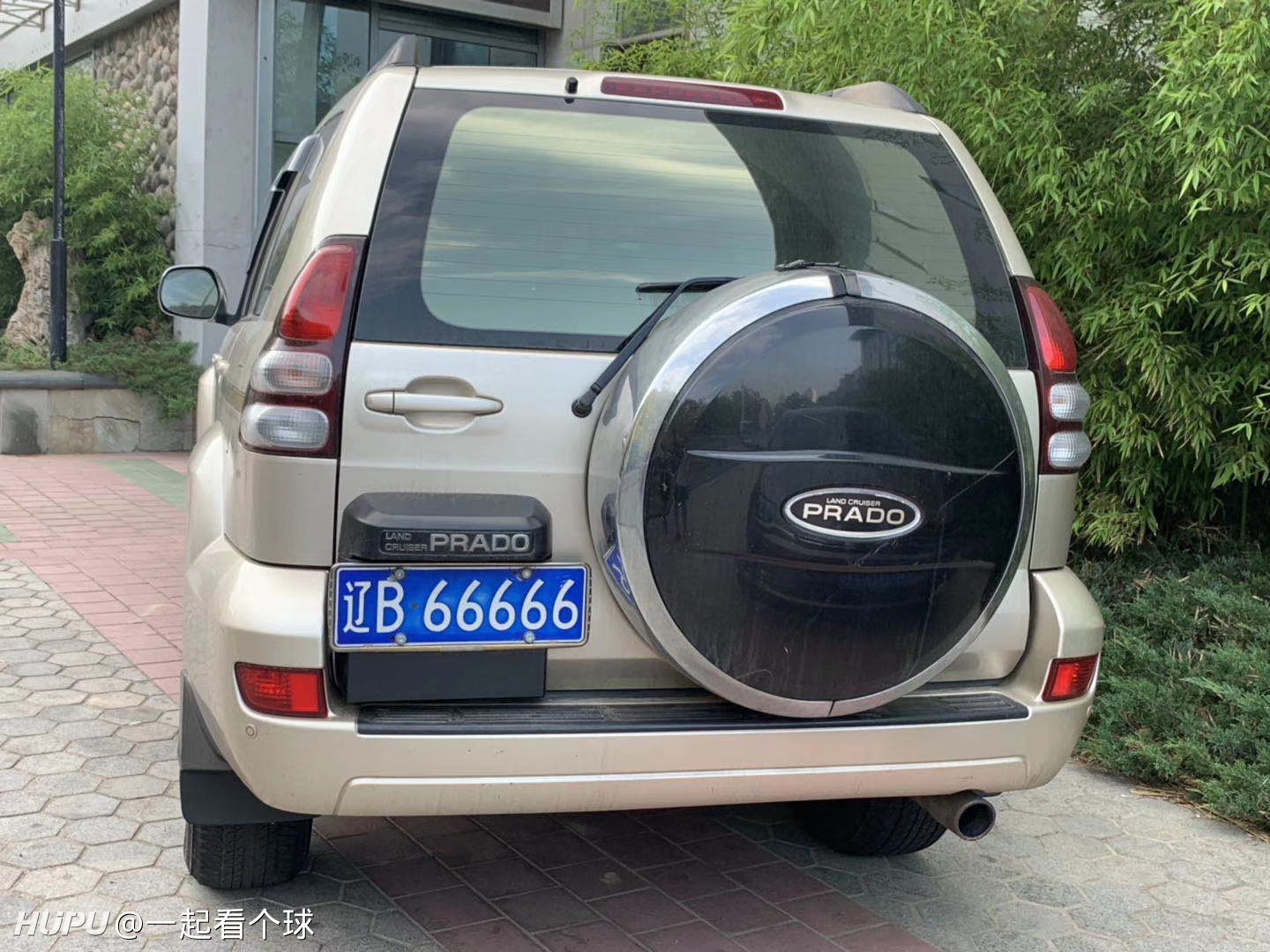 苏e66666苏州一市民选到神车牌zt