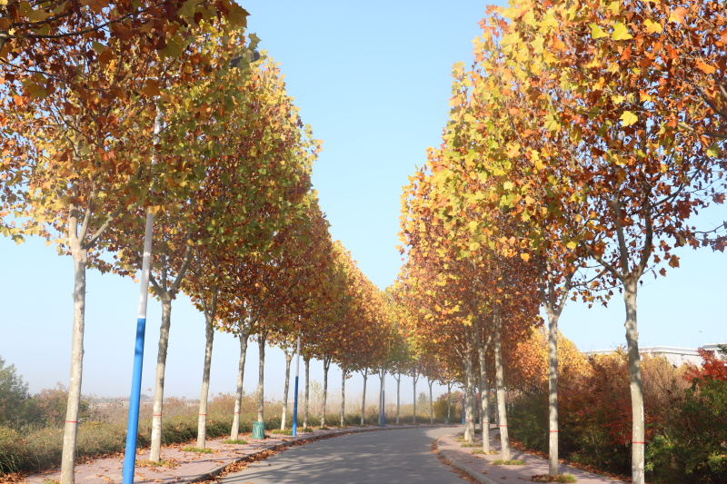 舍友不洗澡极臭,怎么跟他讲让他醒悟