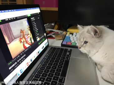 我的玛莎拉蒂猫什么水平 虎扑