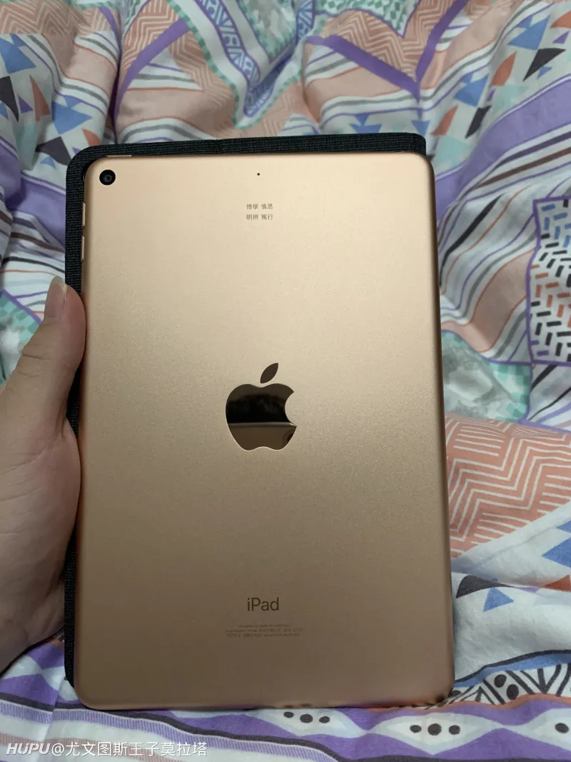 Ipad Mini5用来看电子书和漫画实在太爽了 数码区 虎扑社区