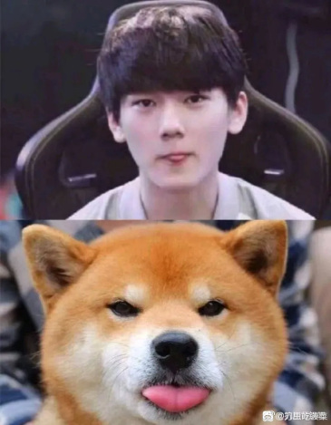 想要水子哥微微一笑暴露柴犬本质的那张图