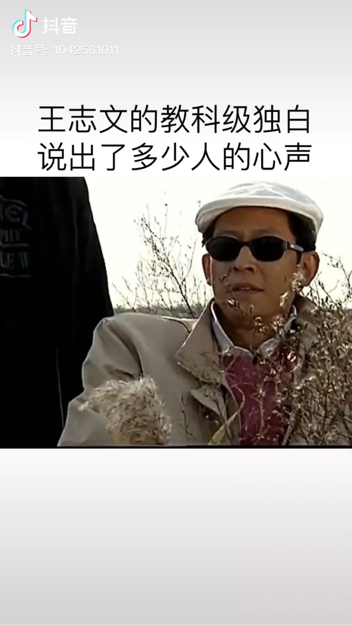 请大家欣赏巅峰王志文的台词功底简直可怕