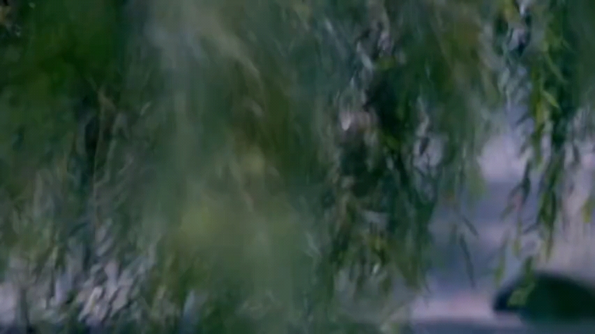 video-poster