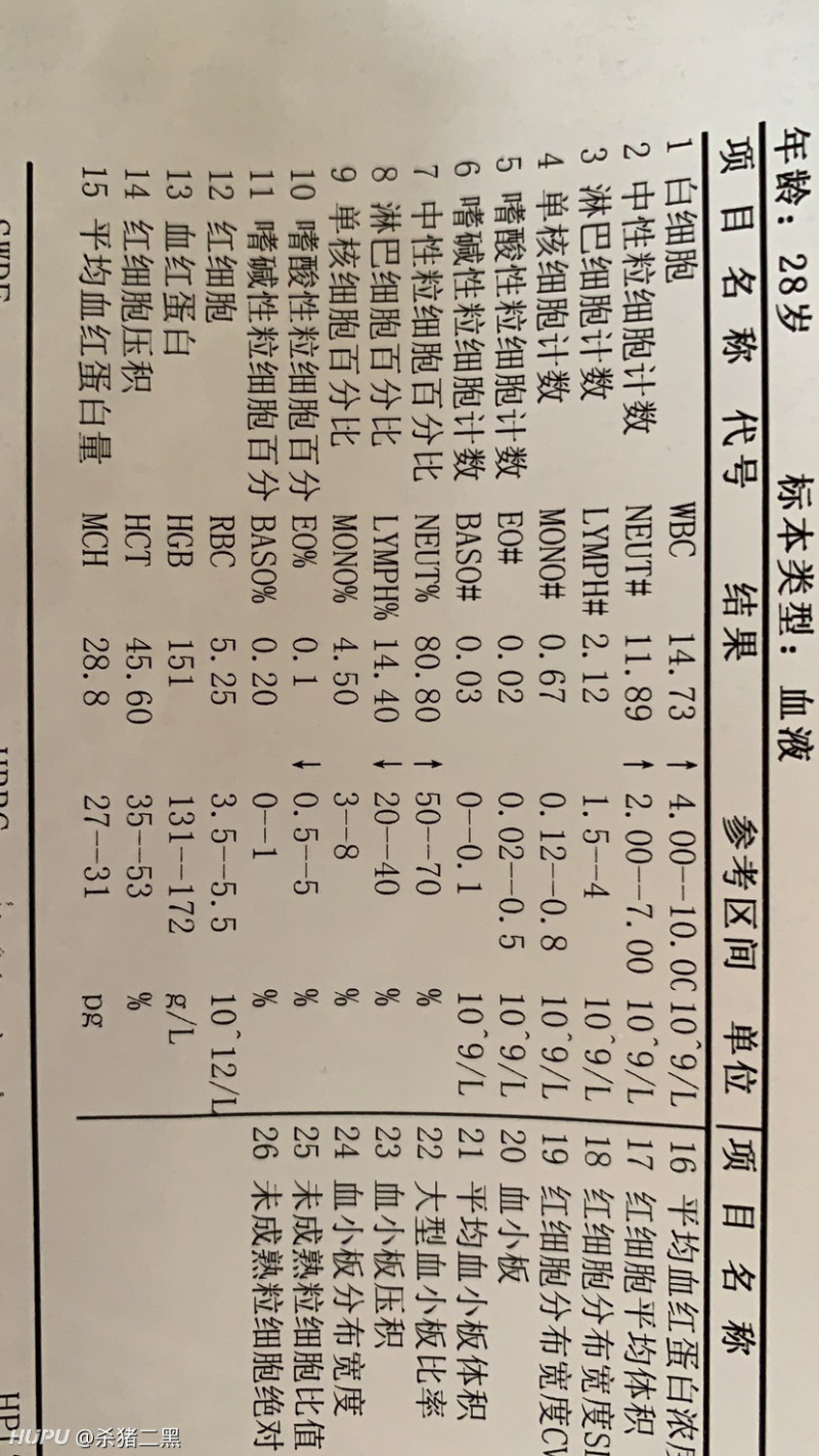 社区 步行街主干道各位老铁,体检之前预检了一次,血常规里白细胞这个