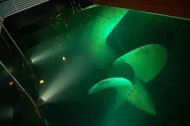 比起深海恐惧症 其实我更严重的是 Submechanophobia 水下人工物恐惧症 步行街主干道 虎扑社区