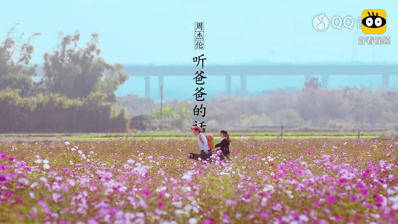 video-poster