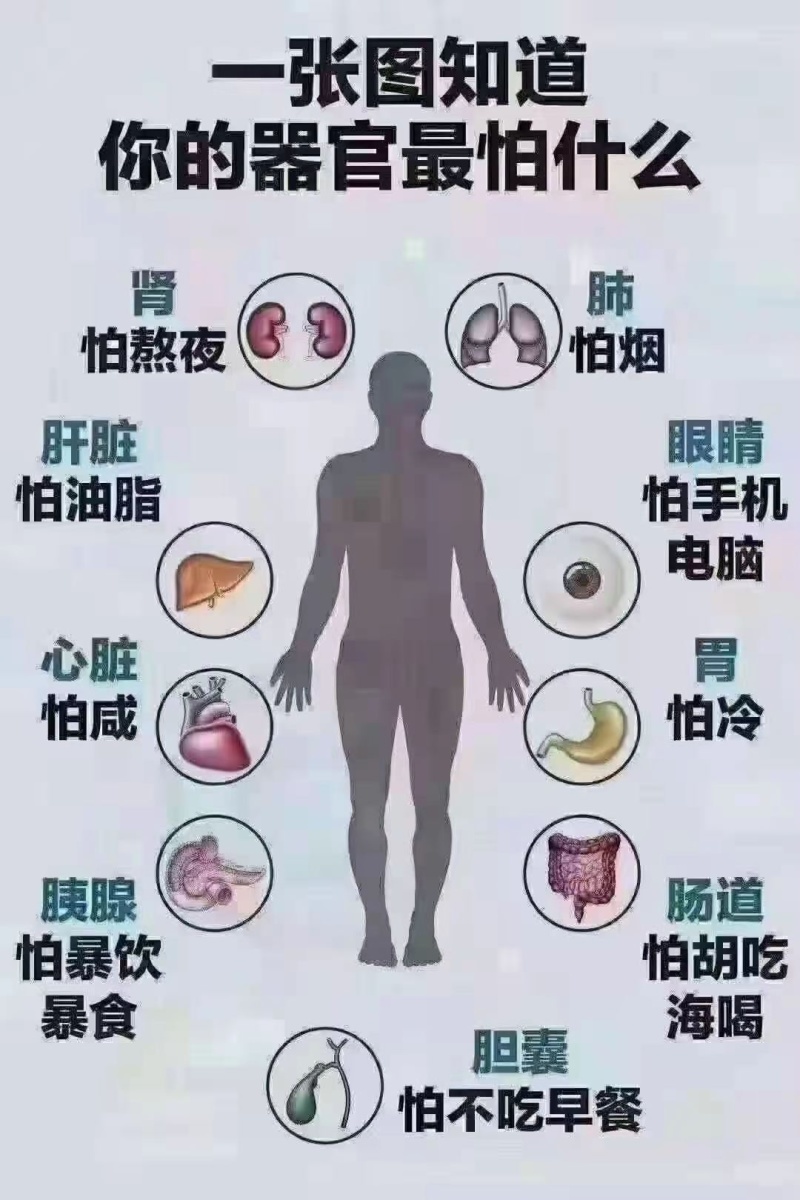 这张图知道你的器官最怕什么