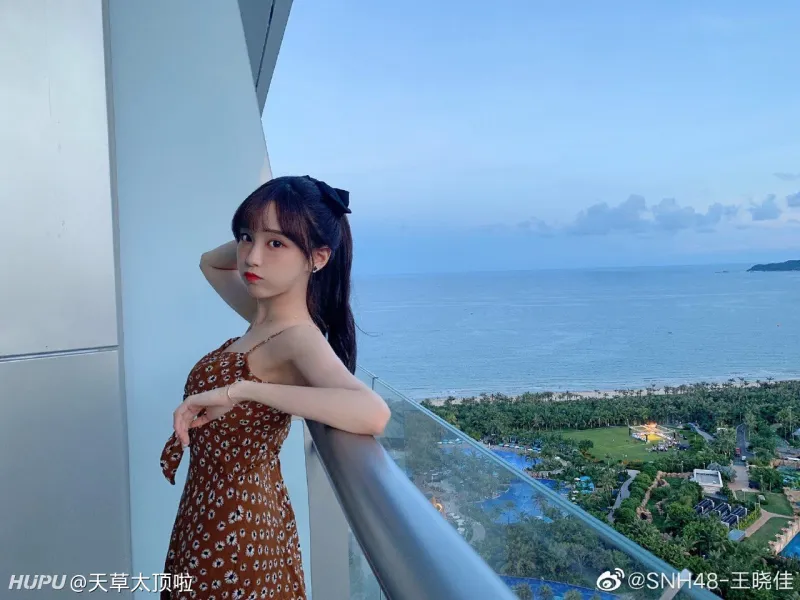 想和天草看日落 娱乐圈 虎扑社区