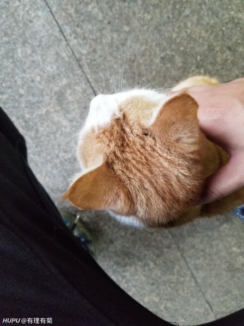 字节飞书的工作强度前景咋样 虎扑 字节飞书的工作强度前景咋样 虎扑