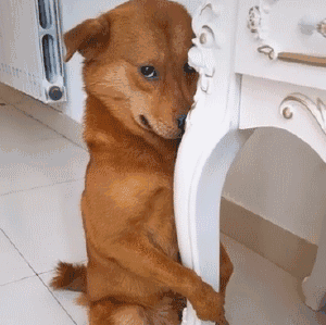 发财日记这女的真有味儿啊