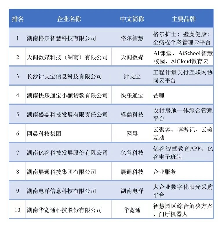 2021年湖南省互联网企业综合实力30强名单