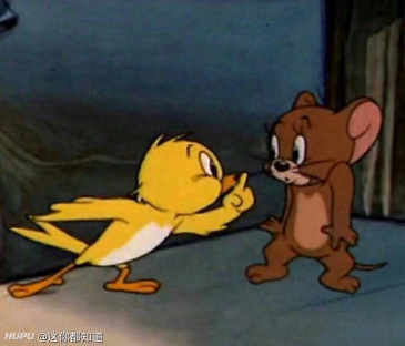 追梦格林生涯胜率历史第一,小卡第二