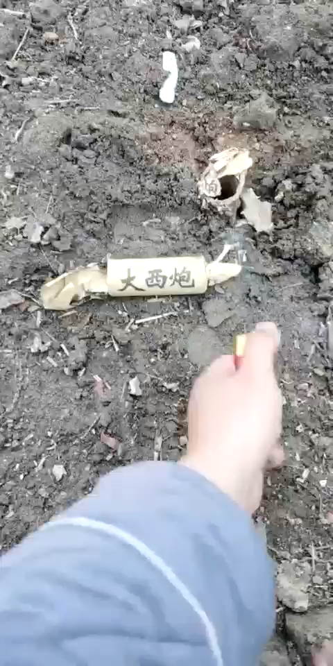 中西炮威力不咋地大西炮试试