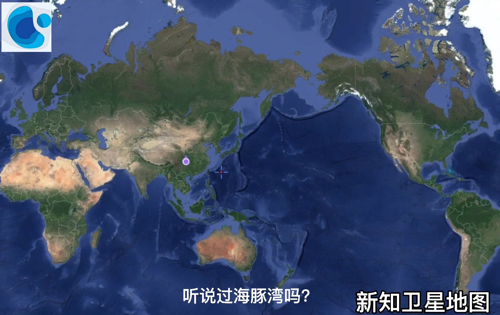 听说过海豚湾吗