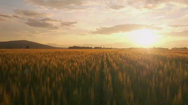 video-poster