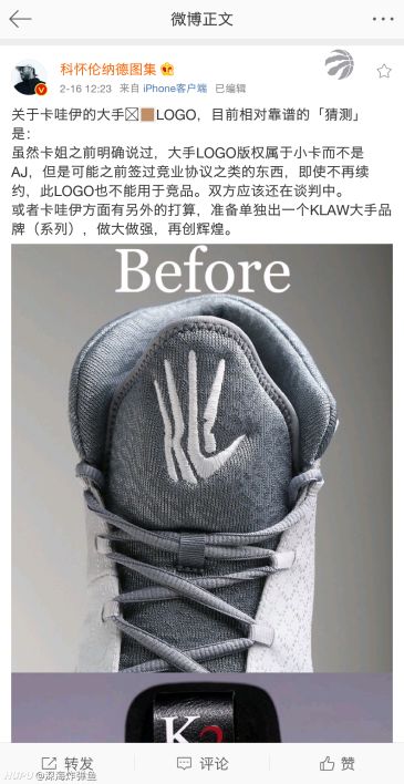 伦纳德的大手logo应该是属于他们团队的