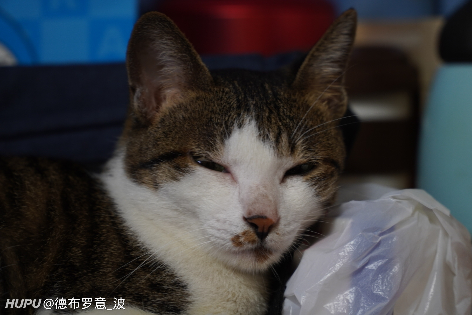 萌新发个问mhw现在还有渣渣辉任务打吗