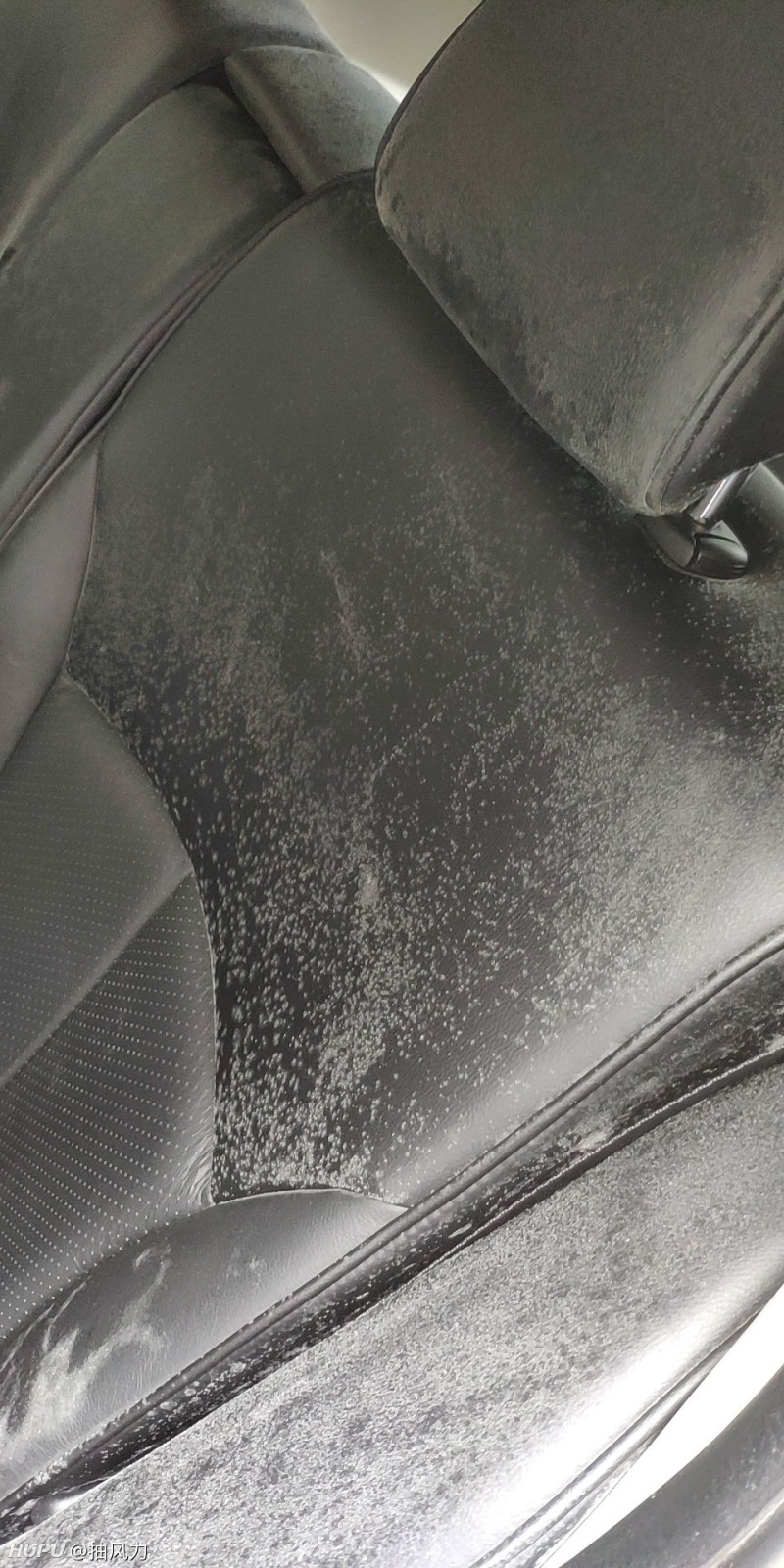 汽车座椅发霉了怎么处理好_虎扑
