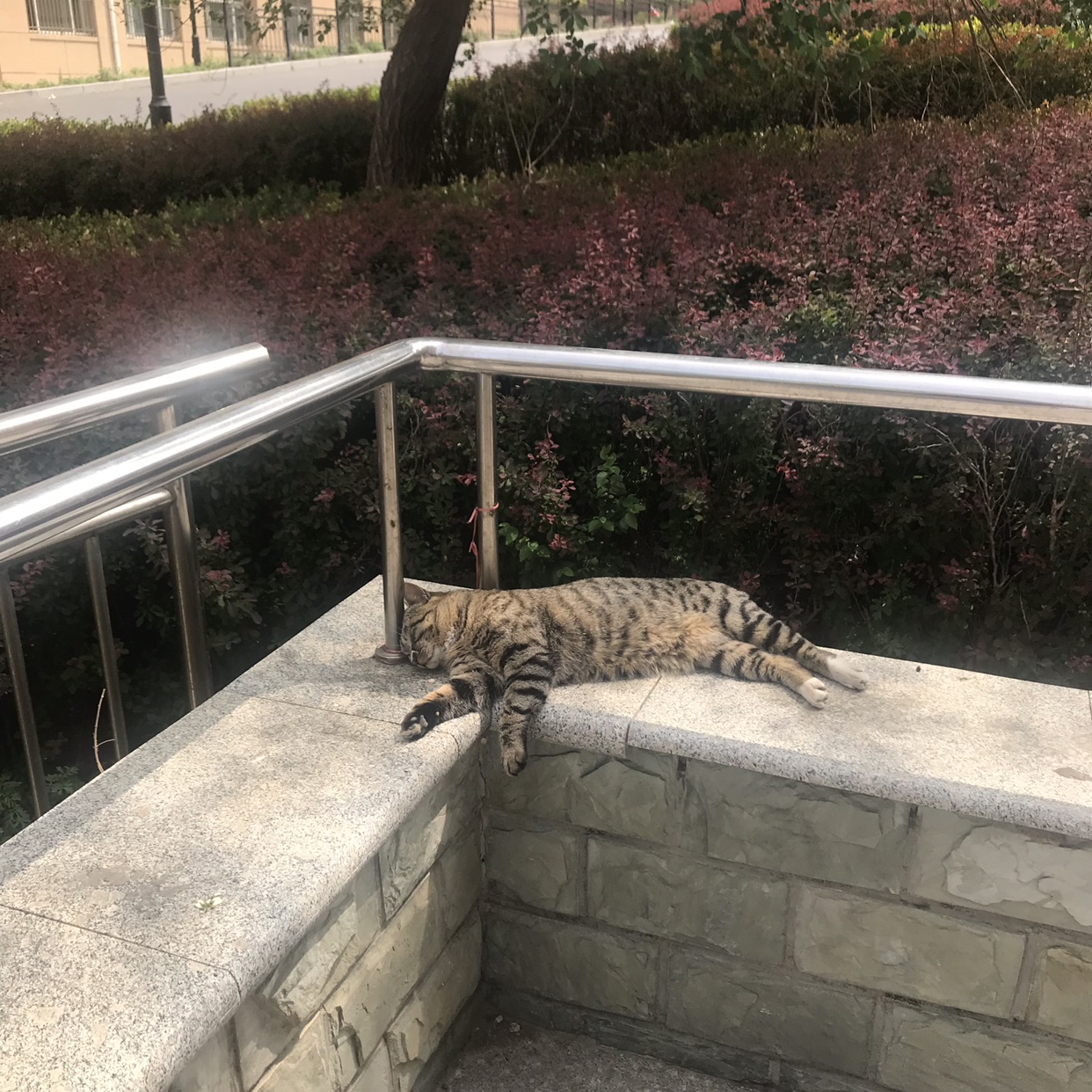 好奇，为什么男厕所在小便池有位置的时候，还有人去蹲坑小便。_虎扑
