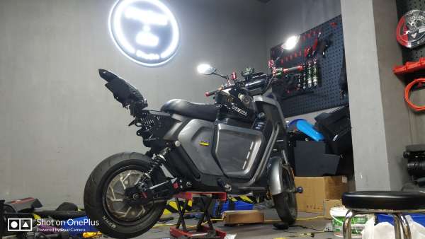4000个提小牛作业 防一血