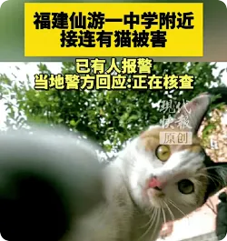福建仙游一中学附近接连有猫被害，警方回应