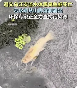 官方回应艾田河水体异常：初步研判为地下水涌出点影响所致
