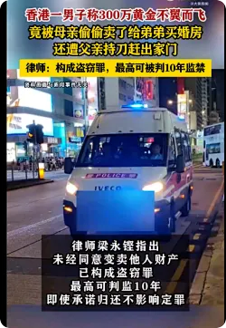 母亲盗卖儿子300万黄金为弟买房