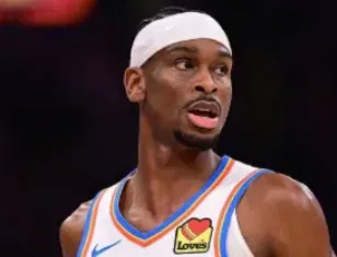 X11戈塔特數據徽章