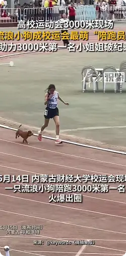大学运动会小狗陪跑3000米女子冠军