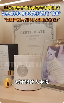 宠物殡葬师回应有人花千元办葬礼：“说明大家真的在关注”