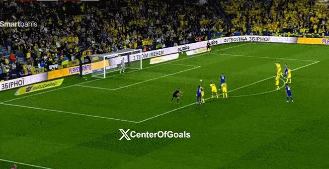 >樂魚app官方下載入口電腦最新版