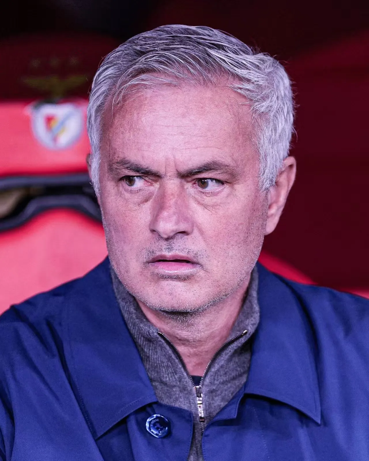 開·云app官方網(wǎng)站下載安裝